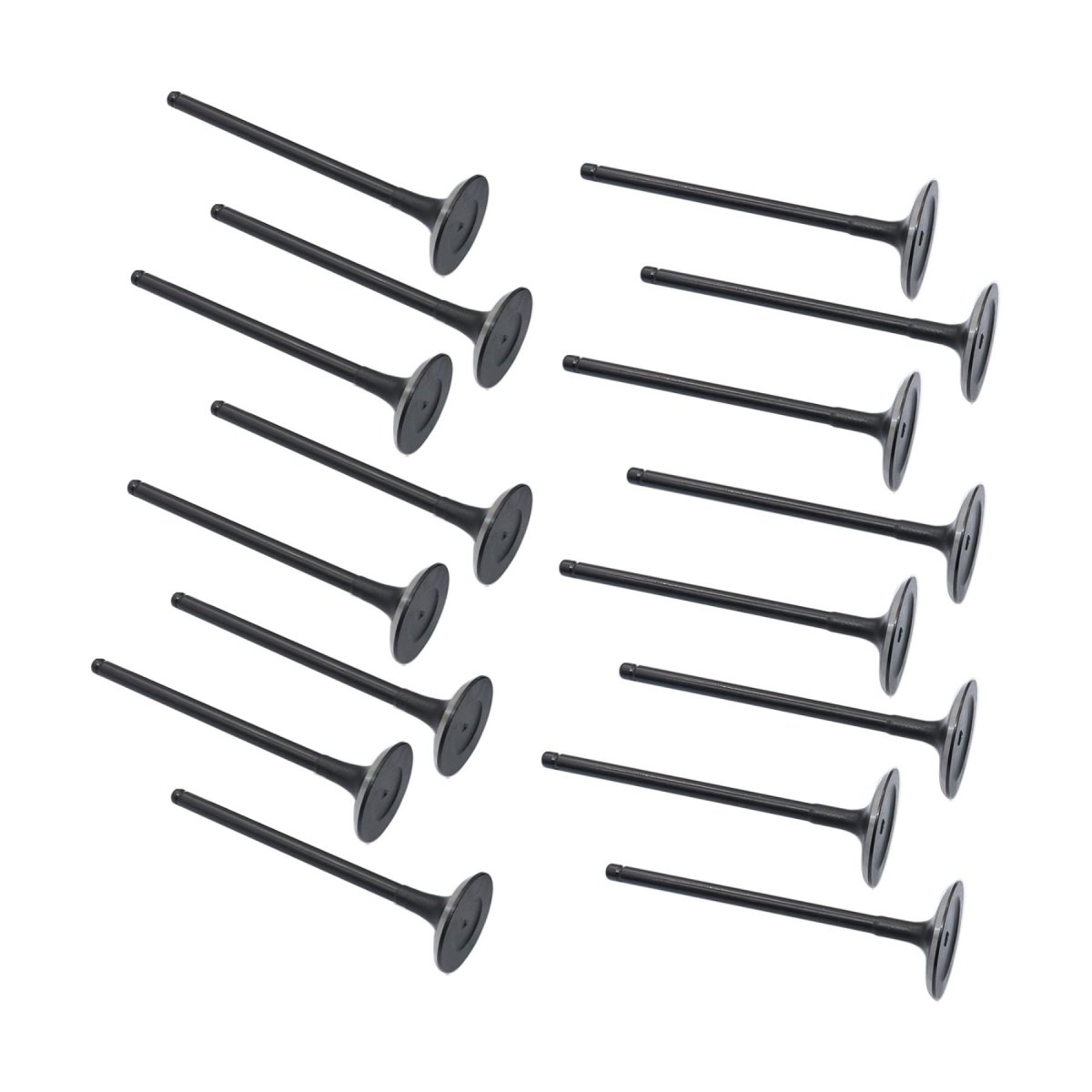 Intake Exhaust Valves Kit For Hyundai Santa Fe 013-2016 Sonata006-2016 Kia Forte Optima 2 0l 2 2l