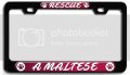 Rescue A Maltese Dogs Pets Bl 3d Metal License Plate Frame Auto Suv Truck Tag Holder Y40 