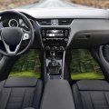 Rainforest Landscape Car Floor Mat Set Universal Fit 4-piece Green Forest Automotive Mats All Weather Anti-slip Protectionpets