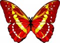Stickertalk Butterfly Vinyl Sticker 5 Inches By 3 75 