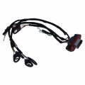 Jzgrdn Wiring Harness Assembly 4p-9537 4p9537 Ca4p9537compatible With Caterpillar 345b 365b Engine 3176b 3176c C12 3196