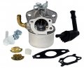 Procompany Replacement Carburetor With Gaskets For Briggs Stratton 798653 Models 110492-0204-e1 110492-0209-e1 110492-0221-e1