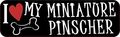 10in X 3in I Love My Miniature Pinscher Magnet By Stickertalk 