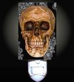 Vector Skull Decorative Night Light 