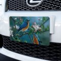 Eastern Bluebirds Blue Birds Thrush Novelty Metal Vanity Tag License Plate