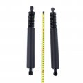 A-premium Rear Tailgate Lift Supports Shock Struts Compatible With Volkswagen Touareg 2004-2010 Sport Utility