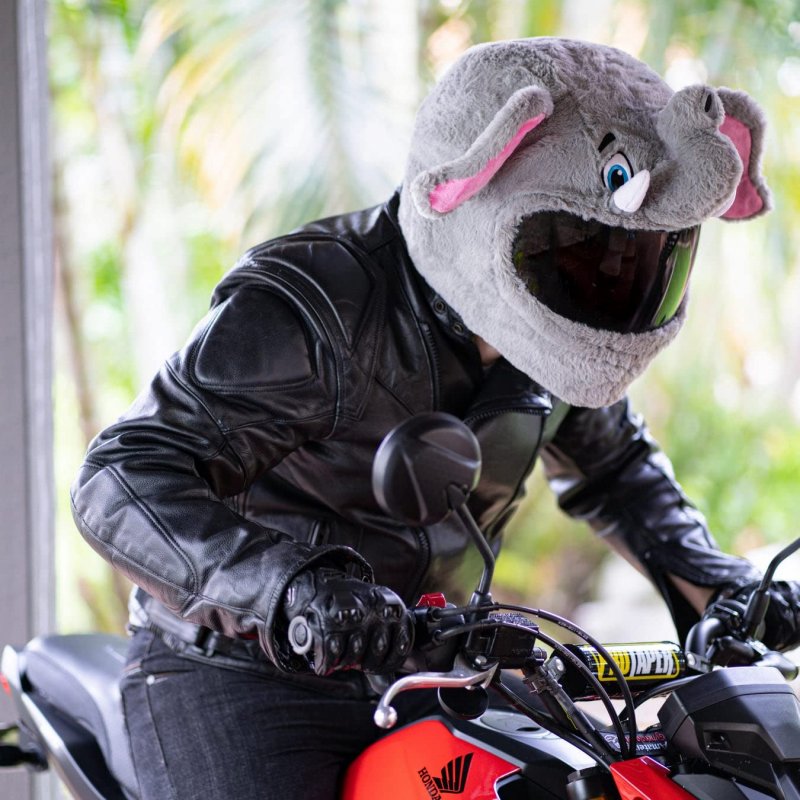 Moto Loot Helmet Cover For Motorcycle Fun Rides And Gifts Cover Only Not Included Elephant