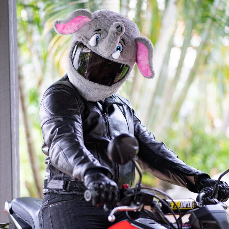 Moto Loot Helmet Cover For Motorcycle Fun Rides And Gifts Cover Only Not Included Elephant