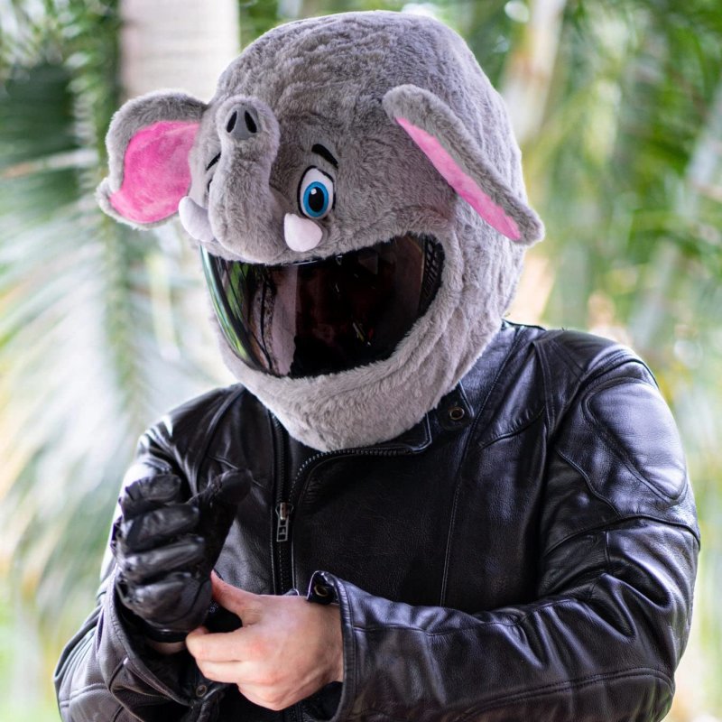 Moto Loot Helmet Cover For Motorcycle Fun Rides And Gifts Cover Only Not Included Elephant