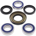 Bossbearing Rear Wheel Bearings Seals Kit For Honda Trx500tm 2005 2006 