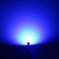 Alla Lighting Newest T10 194 168 Led Bulbs 2825 W5w 171 165 585 Blue License Interior Map Dome Trunk Stepwell Door Courtesy 