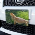 Bearded Dragon In Profile Novelty Metal Vanity License Plate 6 X 12 Aluminum Uv And Water Resistant Decorative Tag 