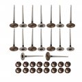 Secosautoparts Intake Exhaust Valve Kit 1334213343 55569450 Compatible With Chevrolet Sonic Cruze 2011 2012 2013 2014 2015 2016