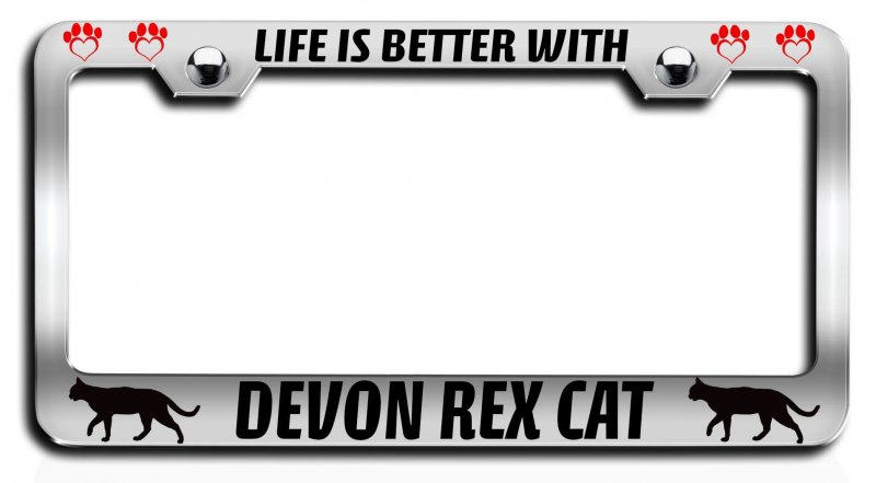 Life Is Better With Devon Rex Cat Pets Chrome Metal License Plate Frame Tag Holder H70