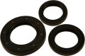 Kawasaki Rear Differential Seal Only Kit Mule 2500 2000 Atv Part 22-520205 