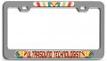 Ultrasound Technologist Career Ch Steel License Plate Frame Raised Epoxy Style Tag Holder 