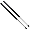 Liftgate Struts Shocks Lift Supports Gas Springs For Lincoln Navigator 2007 To 2016 Pm3226 Set Of 2 