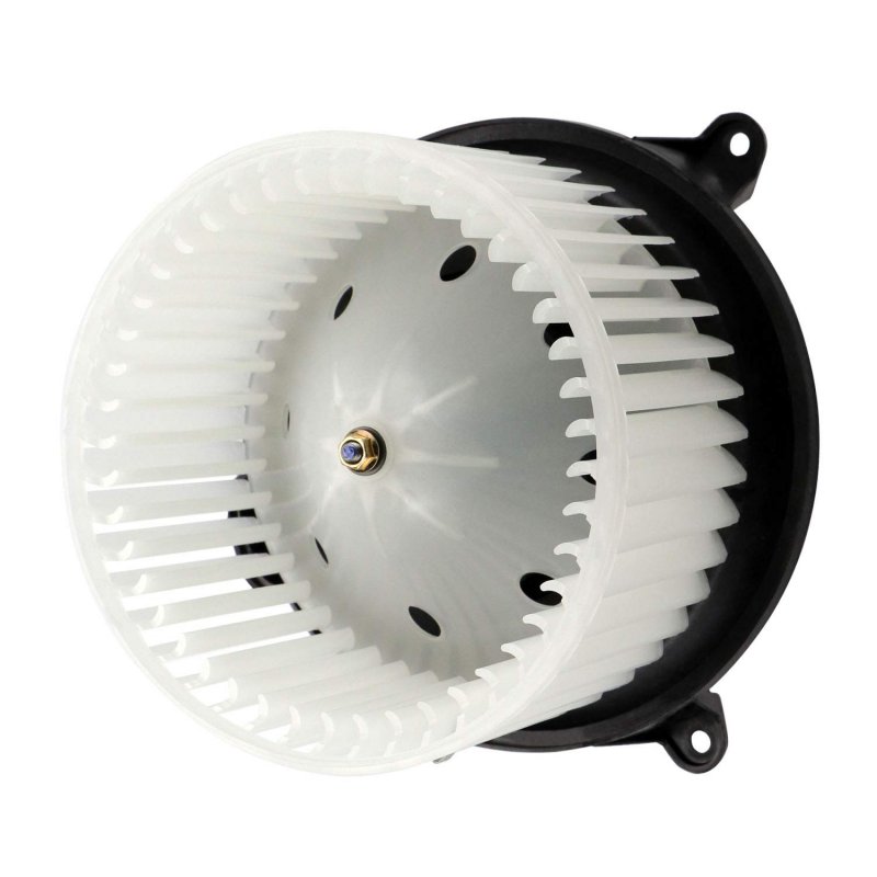 700139 Hvac Blower Motor Assembly With Fan Cage Fit For 2003-2006 Ford Expedition 2004-2008 F150 Lincoln Navigator