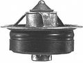 Motorcraft Rt1049 190f And 88c Thermostat 