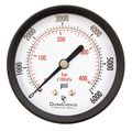 2-1 2 Dry Utility Pressure Gauge Blk Steel 1 4 Npt Center Back Mount 6000 Psi 