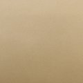 Universal Premium Two Inch Solid Stripe Auto Truck Customizing Tfx 0132098-2 X 50 098 Autumn Gold Metallic