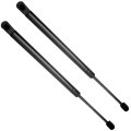 Liftgate Struts Shocks Lift Supports Gas Springs For Jeep Patriot 2007 2017 6138 Sg314071 Set Of 2