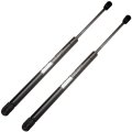 Liftgate Struts Shocks Lift Supports Gas Springs For Jeep Patriot 2007 2017 6138 Sg314071 Set Of 2