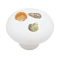 Seashell Trio Decorative High Gloss Ceramic Drawer Knob 