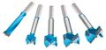 Roman Carbide Dc1918 Forstner Bit Set 1 2-inch To 1-3 8-inch 5-piece 