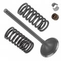 Caltric Intake Valve Kit Compatible With Honda Foreman Rubicon 500 Trx500 4x4 2001-2009 2011-2014