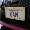 The Birds And Bees Pattern License Plate Tag Frame
