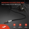 A-premium O2 Oxygen Sensor Compatible With Ford F-150 F150 2015-2017 F-450 Super Duty 2017-2019 F-550 Mustang F53 2016-2019 F59