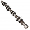 Ocpty Right Engine Camshaft Kit Fit For 2000-2010 Dodge Dakota 2000-2009 Durango 2007-2009 Chrysler Aspen 53021160ae