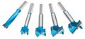 Roman Carbide Dc1919 Forstner Bit Set 15mm 35mm 5-piece 