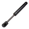 Trunk Lift Supports Gas Struts For Volkswagen Beetle 2003 2010 Set Of 2 6425 Sg401031 7 68 In Extended Length