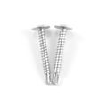 1979 1993 Ford Mustang Door Kick Panel Screws 2 Piece Set With 1 5 In Phillips Head Self Cutting Tips Silver 