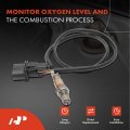 A-premium O2 Oxygen Sensor Compatible With Volkswagen Jetta Passat Golf Beetle Phaeton Bmw X5 Mercedes-benz C230 Porsche