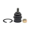 Front Lower Ball Joint For Hyundai Tiburon 2003 2004 2005 2006 2007 2008 Steel Press In Type Non Adjustable With Castle Nut 