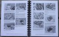 I5motorcycle Service Repair Manual For Honda Crf125f Crf125fb Crf125 Crf 125 125f 2014-2023
