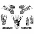 2004 Exc Zany White Senge Graphics Base Kit For Ktm
