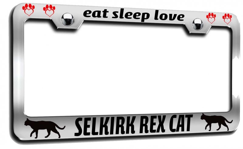 Eat Sleep Love Selkirk Rex Cat Chrome Metal License Plate Frame Heavy Duty Stainless Steel Tag Holder For Us And Canada