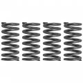 Caltric Clutch Spring Compatible With Honda Trx250x Trx250ex 4x 22401-hn6-a30 22401hn6a30