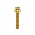 Uxcell 6pcs Gold Tone M6 X 30mm Motorcycle Titanium Alloy Hexagon Bolts Clips Screws