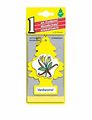 6 Pack Car Freshner 10105 Little Trees Air Freshener Vanillaroma Scent Single Tree Per Package 
