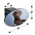 Chocolate Lab Labrador Deckchair Lounge Chair Oval Tow Trailer Hitch Cover Plug Insert