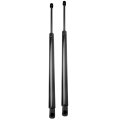 Liftgate Struts Gas Springs Lift Supports Ford Expedition 2003 2015 For 6100 Pm3015 Set Of 2 22 31 In Extended Length 
