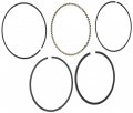 Hastings 2m4790s Single Cylinder Piston Ring Set 