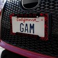 Bad Luck Black Cat With Skull Bones License Plate Tag Frame
