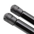 Tsubasa Lift Supports Dampers For 2004-2008 Acura Tl Front Hood Bonnet Gas Struts Springs Shock Absorber Carbon Fiber Prop Bar 