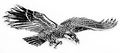 Flying Eagle 3d Car Motorcycle Emblem Chrome